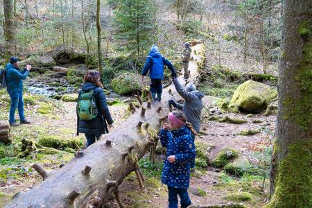 Familienwochenende im Monbachtal